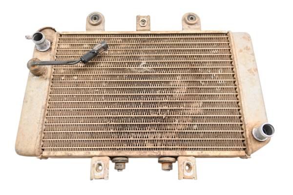 Polaris - 03 Polaris Predator 500 2x4 Radiator
