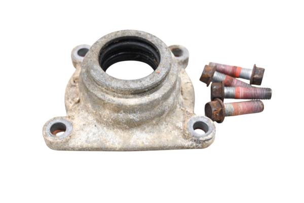 Kawasaki - 09 Kawasaki Prairie 360 4x4 Left Rear Differential Cover KVF360