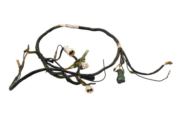Yamaha - 02 Yamaha Blaster 200 2x4 Wire Harness Electrical Wiring YFS200