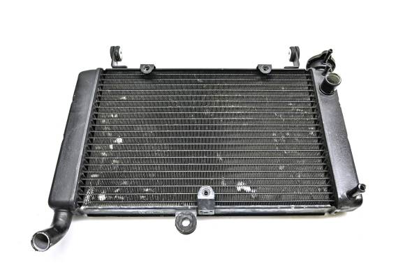 Yamaha - 06 Yamaha YZF600R Radiator