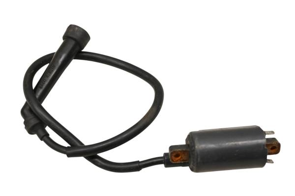 Yamaha - 02 Yamaha Grizzly 660 4x4 Ignition Coil YFM660F