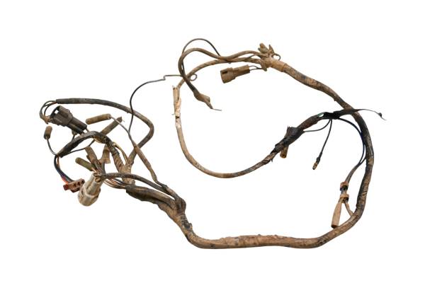 Yamaha - 97 Yamaha Blaster 200 2x4 Wire Harness Electrical Wiring YFS200