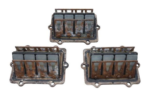 Polaris - 02 Polaris Genesis I 1200 Reed Valves