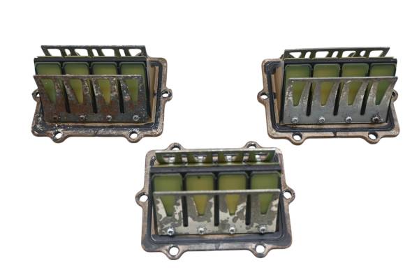 Polaris - 04 Polaris Genesis I 1200 Reed Valves