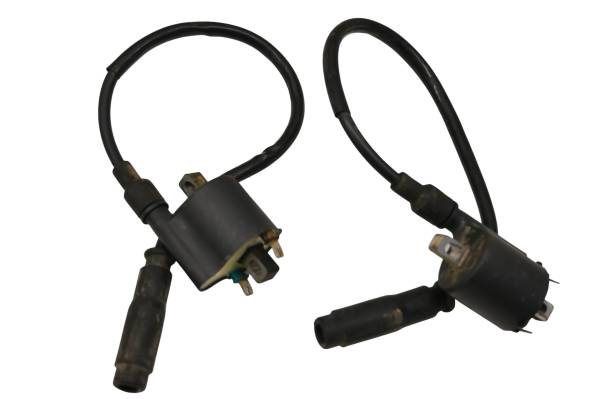 Kawasaki - 10 Kawasaki Teryx 750 4x4 Ignition Coils KRF750