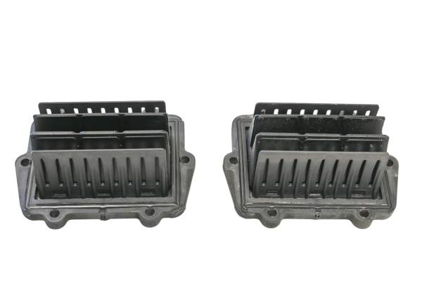 Polaris - 19 Polaris 800 Axyx SKS Reed Valves 146"