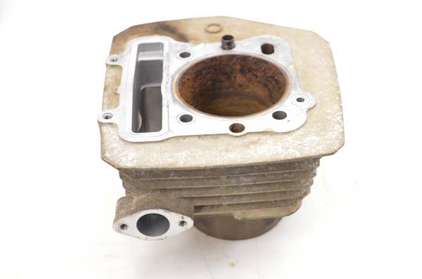 Kawasaki - 96 Kawasaki Lakota 300 Cylinder KEF300 For Parts