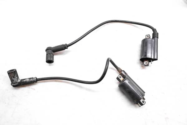 Ducati - 04 Ducati Monster 800S Ignition Coils