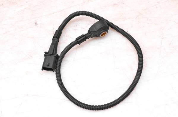 Ski-Doo - 17 Ski-Doo Freeride 800R E-Tec Knock Noise Sensor 137"