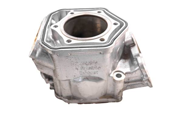 Ski-Doo - 11 Ski-Doo Renegade Back Country X 600 HO Cylinder 137"