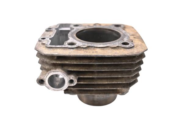 Kawasaki - 05 Kawasaki Bayou 250 2x4 Cylinder KLF250