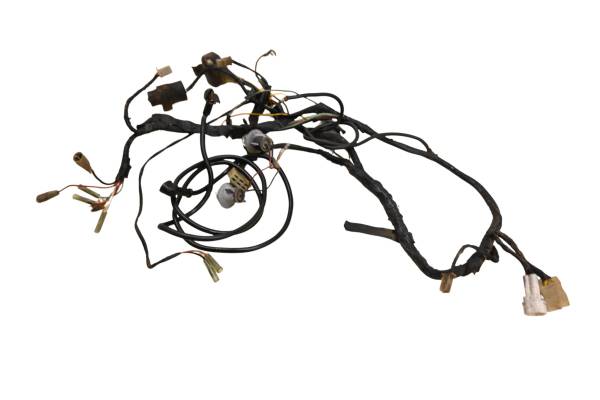 Kawasaki - 86 Kawasaki Bayou 300 2x4 Wire Harness Electrical Wiring KLF300