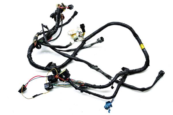 Yamaha - 03 Yamaha Raptor 660 2x4 Wire Harness Electrical Wiring YFM660R