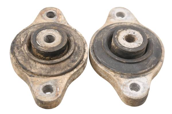 Polaris - 08 Polaris RZR 800 EFI 4x4 Rear Differential Mounts