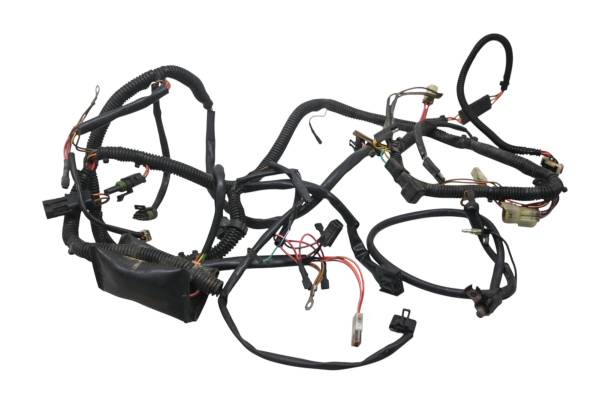 Polaris - 96 Polaris Sportsman 500 4x4 Wire Harness Electrical Wiring