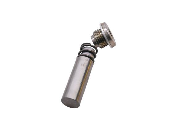 Sea-Doo - 19 Sea-Doo Spark 3-Up 900 ACE Cam Chain Tensioner