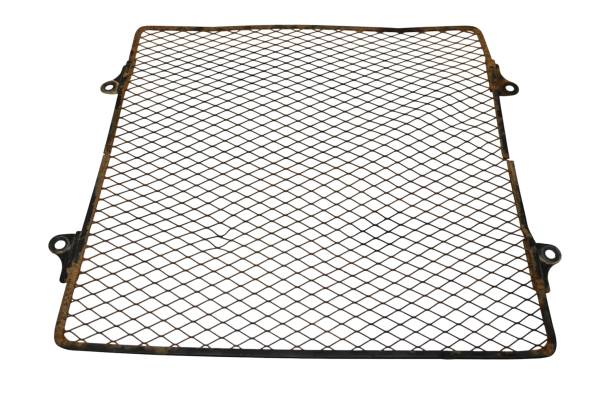 Kawasaki - 10 Kawasaki Teryx 750 4x4 Radiator Screen Cover KRF750