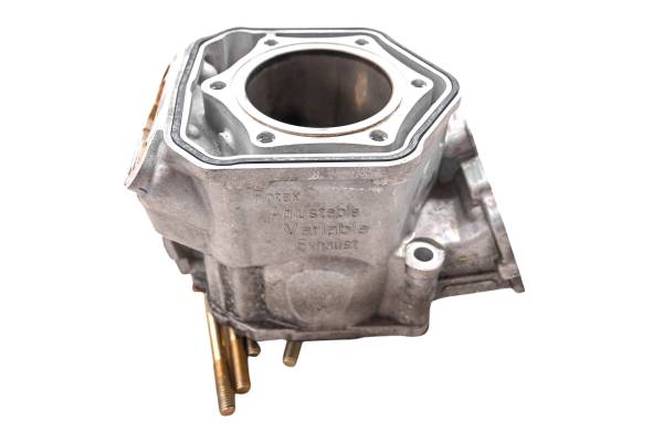 Ski-Doo - 12 Ski-Doo MXZ TNT 600 HO Cylinder 120"