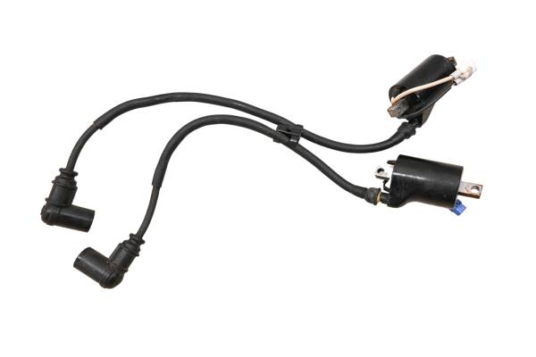 Polaris - 12 Polaris Switchback 800 Pro R ES Ignition Coils 136"