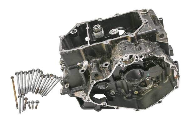 Kawasaki - 20 Kawasaki Versys-X 300 Crankcase Center Crank Case KLE300BLFA