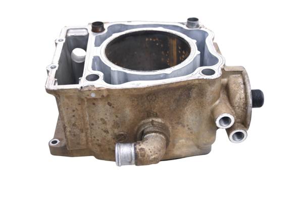 Polaris - 09 Polaris Sportsman 500 4x4 Cylinder