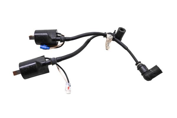 Polaris - 16 Polaris 800 Rush Pro S Ignition Coils 137"