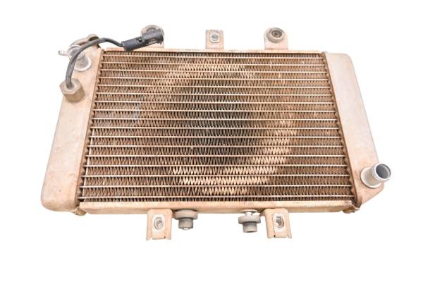 Polaris - 05 Polaris Predator 500 Radiator