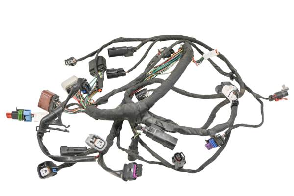 20 Harley-Davidson Street Bob FXBB Engine Wire Harness Electrical Wiring