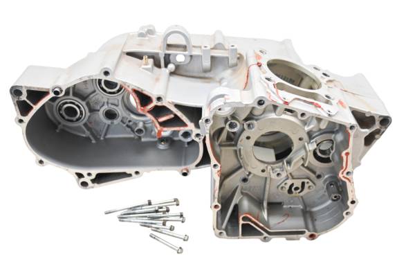 Can-Am - 06 Can-Am DS250 2x4 Crankcase Center Crank Case