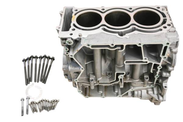 Can-Am - 22 Can-Am Ryker Rally 900 Crankcase Center Crank Case & Cylinders