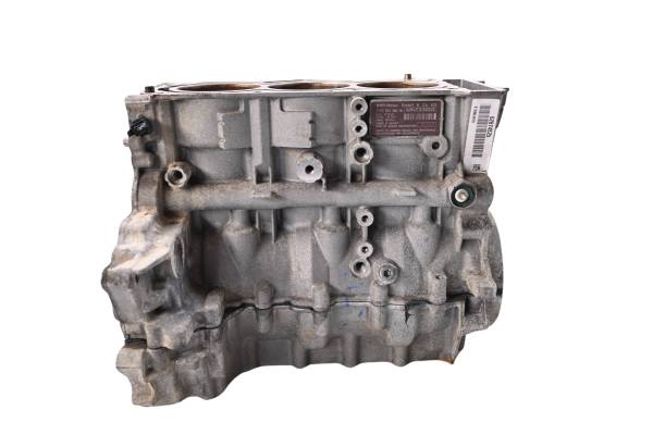 Can-Am - 21 Can-Am Ryker Rally 900 Ace Crankcase Center Crank Case & Cylinders