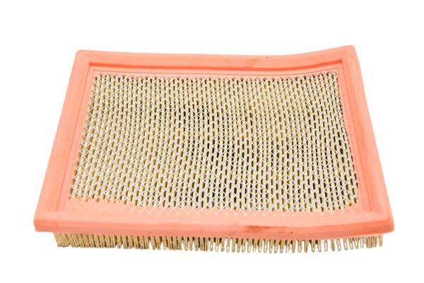 Can-Am - 22 Can-Am Ryker Sport 900 ACE Air Filter