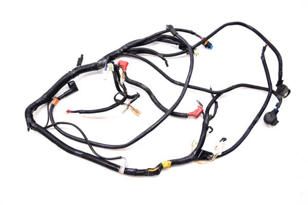Can-Am - 07 Can-Am Rally 175 200 2x4 Wire Harness Electrical Wiring