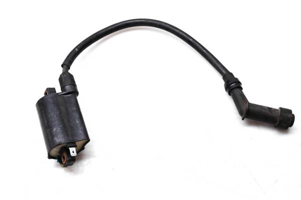 Can-Am - 07 Can-Am Rally 175 200 2x4 Ignition Coil