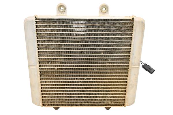 Polaris - 12 Polaris Sportsman 500 HO 4x4 Radiator