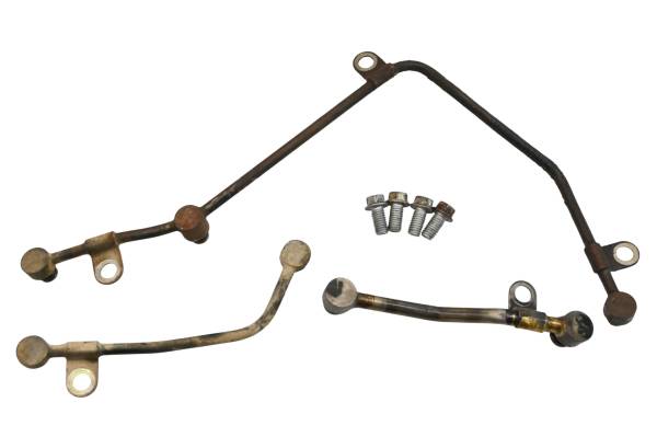 Kawasaki - 04 Kawasaki KFX700 2x4 Engine Oil Lines V-Force