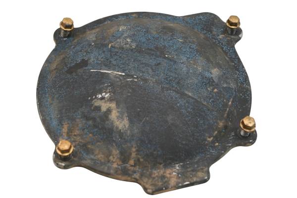 Kawasaki - 04 Kawasaki KFX700 2x4 Generator Cover V-Force