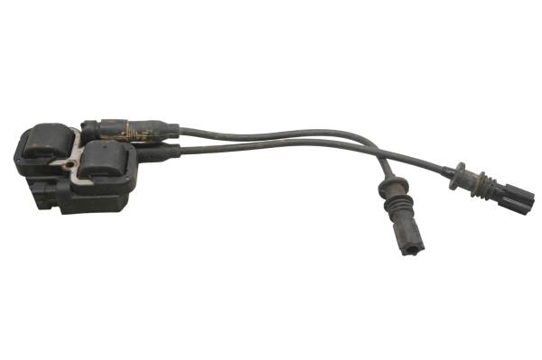 Polaris - 15 Polaris Sportsman 850 XP 4x4 Ignition Coils