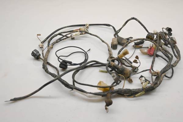 Kawasaki - 04 Kawasaki KFX700 2x4 Wire Harness Electrical Wiring V-Force