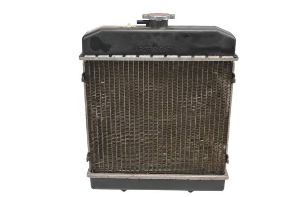 Arctic Cat - 18 Arctic Cat Alterra 700 VLX 4x4 Radiator