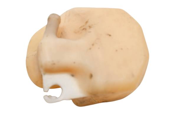 Honda - 02 Honda Shadow Spirit Crankcase Breather Box Vent VT1100C