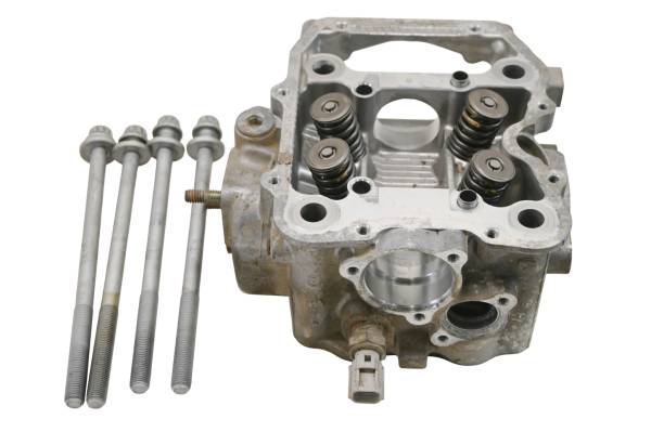 Polaris - 06 Polaris Sportsman 500 X2 4x4 Cylinder Head