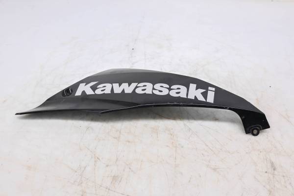 Kawasaki - 18 Kawasaki Ninja 650 ABS Lower Rig Cowling EX650K