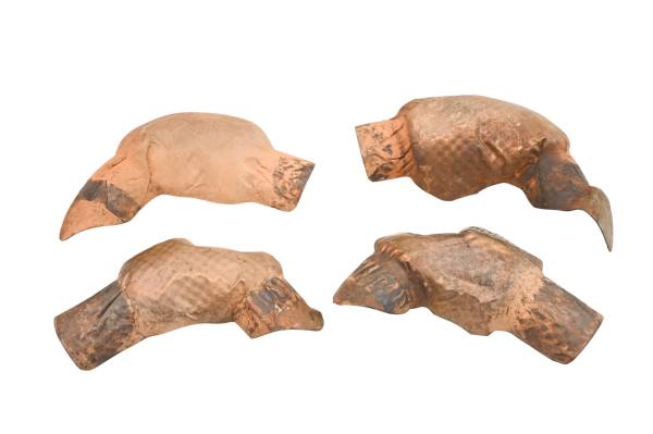 Can-Am - 22 Can-Am Defender XT HD10 Heat Shield Guard Covers