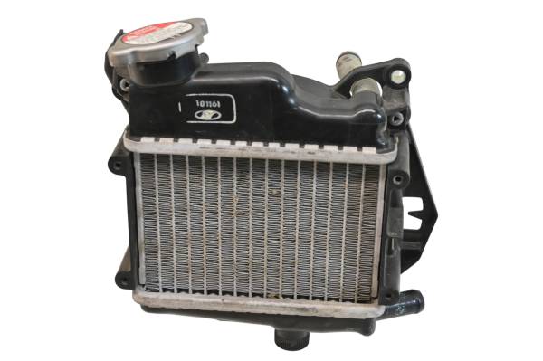 Honda - 17 Honda Ruckus Radiator NPS50