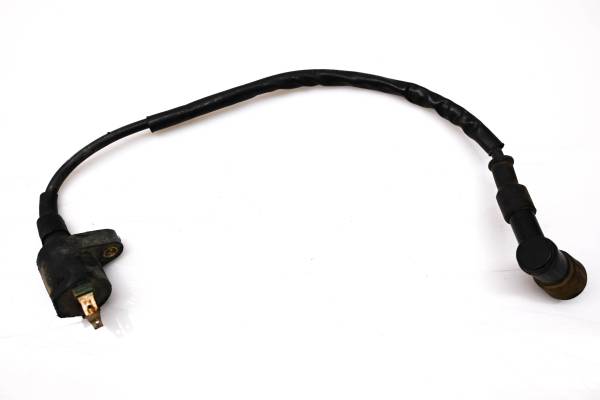 Kawasaki - 03 Kawasaki Bayou 250 2x4 Ignition Coil KLF250