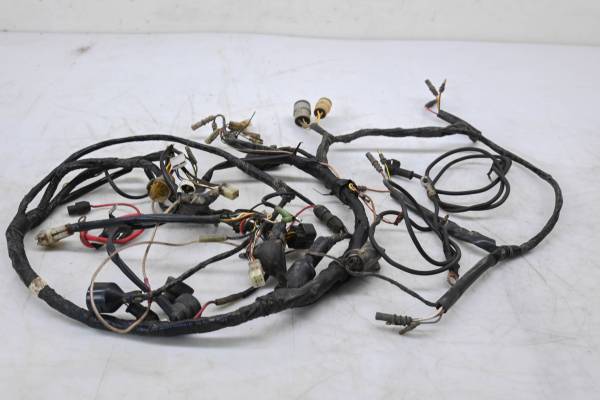 Kawasaki - 99 Kawasaki Prairie 300 2x4 Wire Harness Electrical Wiring KVF300
