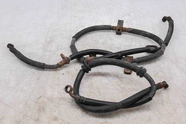 Honda - 04 Honda Foreman 450 4x4 Front Brake Lines TRX450FM