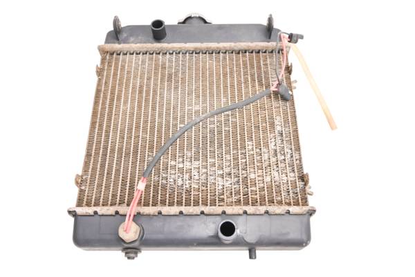 Arctic Cat - 02 Arctic Cat 500 4x4 FIS Manual Radiator
