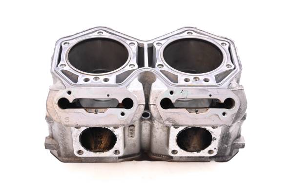 Ski-Doo - 15 Ski-Doo Renegade Adrenaline 800R E-TEC Cylinder 137"